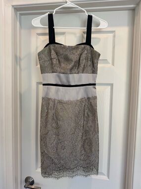 Sleeveless Lace Sheath Dress in Silver and Black